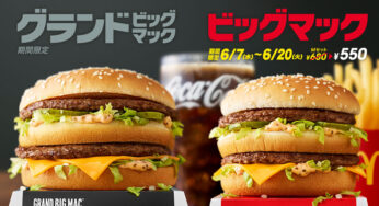 1型糖尿病患者がマックの新メニュー「グランドビッグマック」ではなくあえて「ギガビッグマック」を食べてみた結果