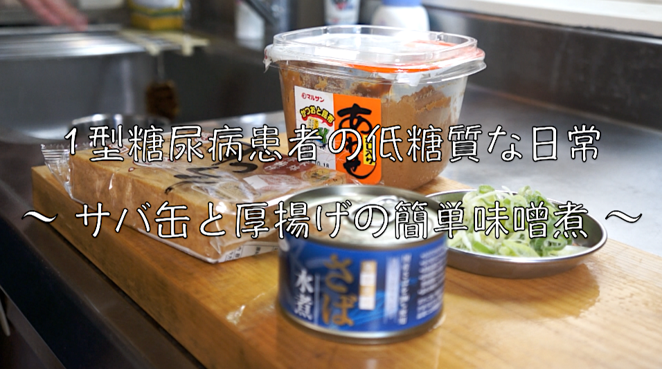 サバ缶　味噌煮　低糖質　レシピ　糖質制限