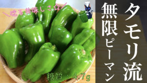 無限　タモリ流　ピーマン　レシピ