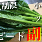 小松菜　ツナ缶　低糖質　レシピ