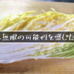 【低糖質な食べるスープ☆】コレさえあれば、寒い時期を乗り越えられる！【白菜レシピ】