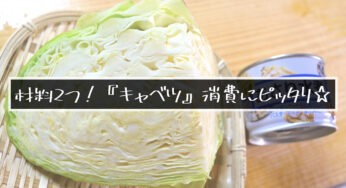 『キャベツ』大量消費♬ただ煮込むだけなのに、旨味たっぷりの低糖質な１品☆【糖質ＯＦＦレシピ】
