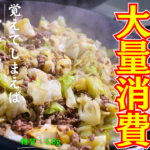 キャベツのひき肉炒め