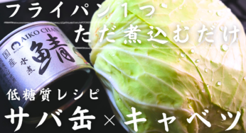 【低糖質×高タンパク】ただ煮込むだけ！サバ缶アレンジレシピ☆