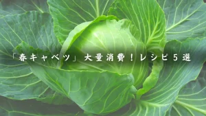 キャベツレシピ