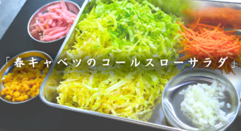 【最強サラダ】野菜がモリモリ食べられる！シャキシャキ「春キャベツの特製コールスロー」