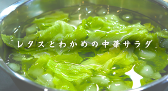 【秒で完食！？】シャキッと旨すぎ！「レタスとわかめの中華サラダ」