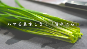 旨辛にら