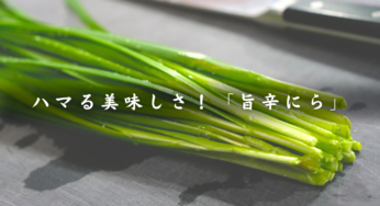 【低糖質レシピ】ピリ辛好き必見！「最強のうま辛ニラ」