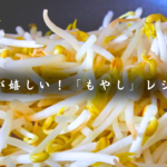 家計の味方！激安食材！「もやし」を使い倒す！低糖質レシピ７品