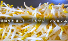 もやしレシピ集