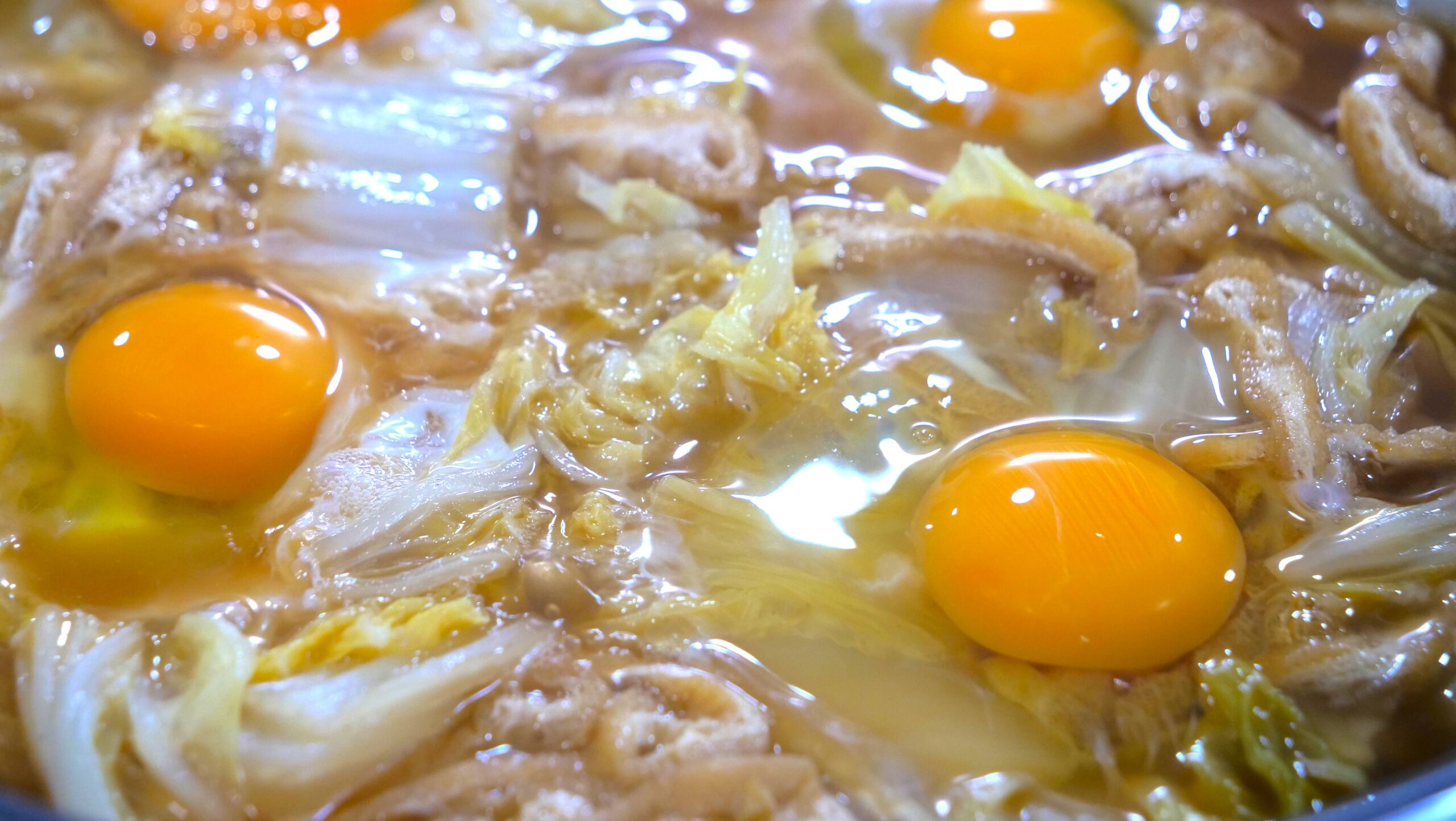白菜の巣ごもり