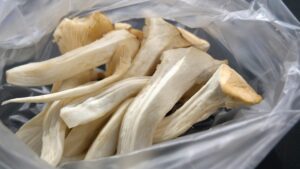 エリンギの松茸風