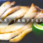 【まるで松茸！？】節約なのに高級感！最強すぎる「エリンギおつまみ」
