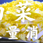 白菜大量消費レシピ!シャキシャキ美味しいツナわかめサラダ【ヘルシー副菜・作り置き】