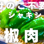 もやしの青椒肉絲の材料