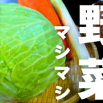 野菜マシマシスープ