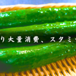 【きゅうり大量消費】ニンニクマシマシ！1度食べたらお箸が止まらない中毒性「スタミナきゅうり」