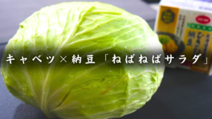 キャベツと納豆のねばねばサラダ