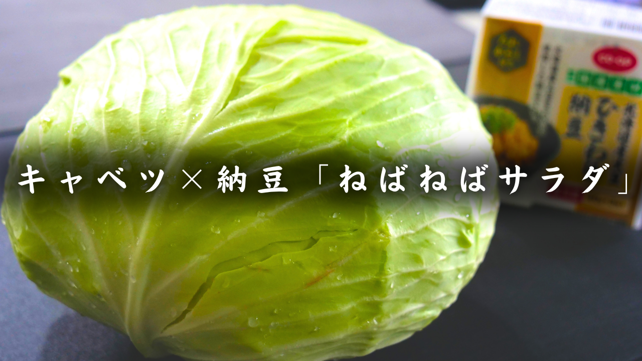 キャベツと納豆のねばねばサラダ