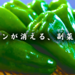 ピーマンのカンタン焼き浸し